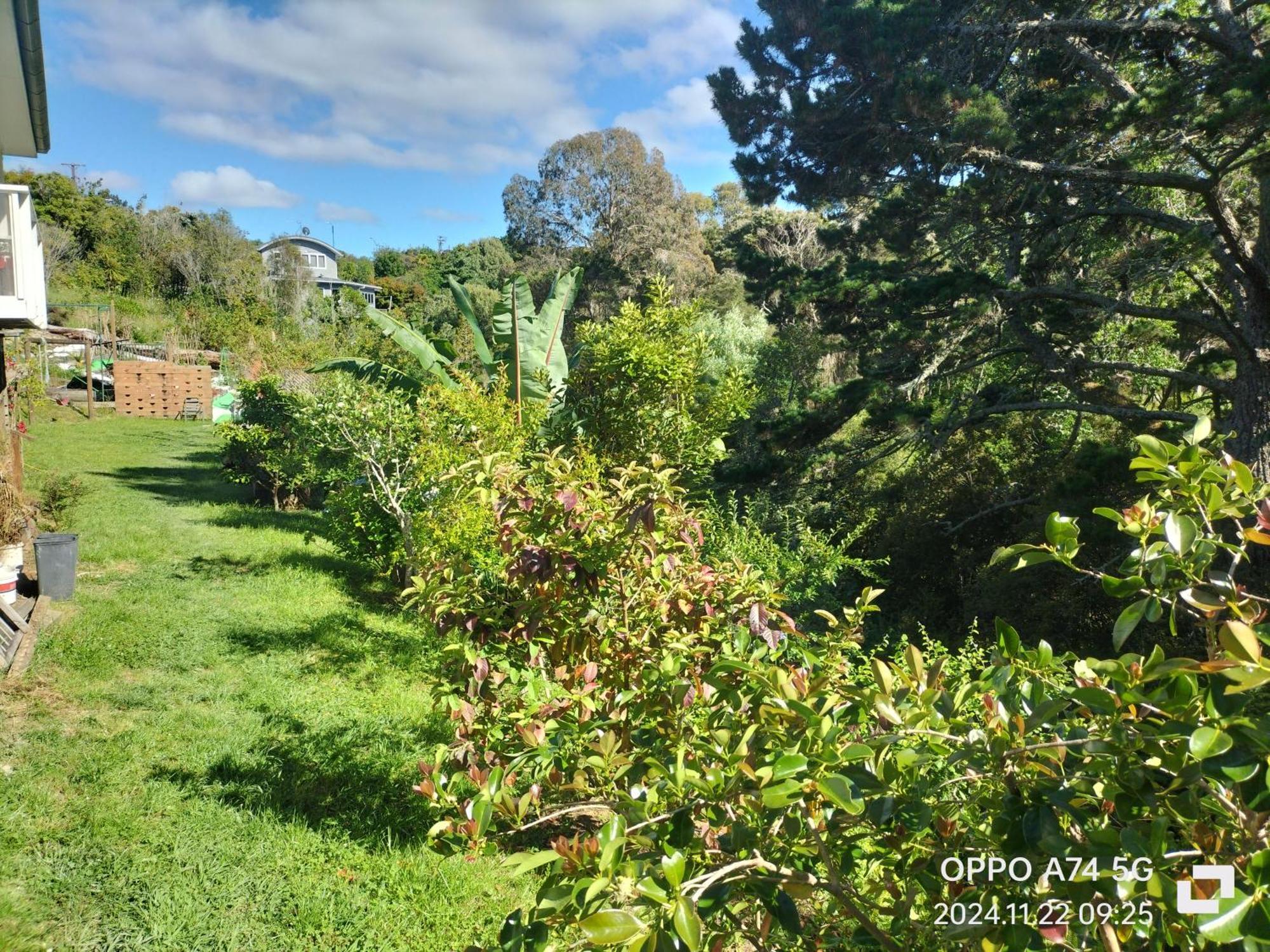 别墅中的一间客房 Auckland Exterior foto